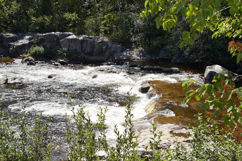 Motel Et Chalets Bo-Fleuve Evangeline Saint-Siméon Zewnętrze zdjęcie
