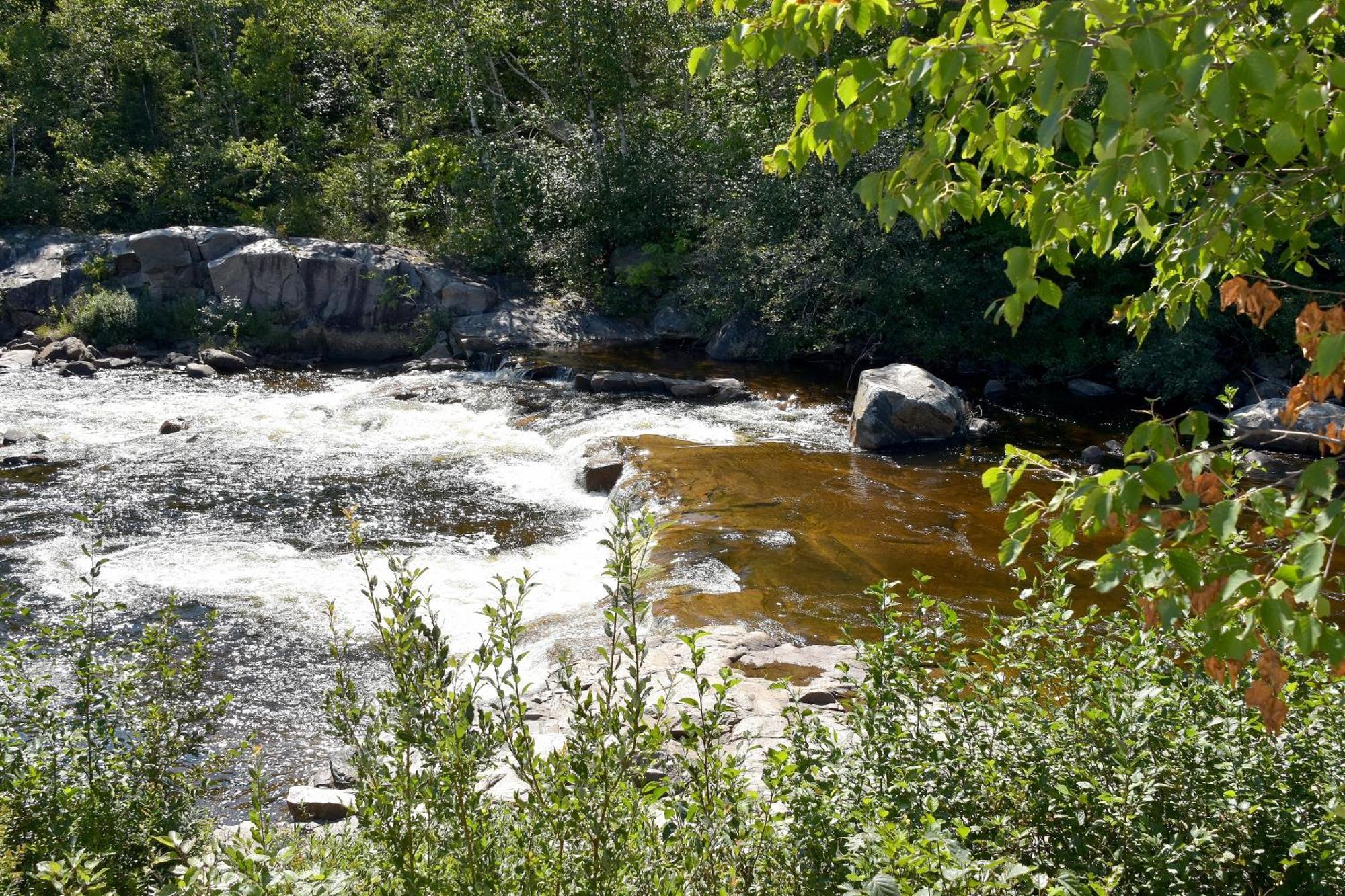 Motel Et Chalets Bo-Fleuve Evangeline Saint-Siméon Pokój zdjęcie