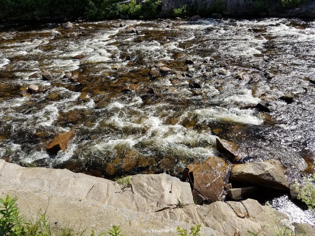 Motel Et Chalets Bo-Fleuve Evangeline Saint-Siméon Zewnętrze zdjęcie